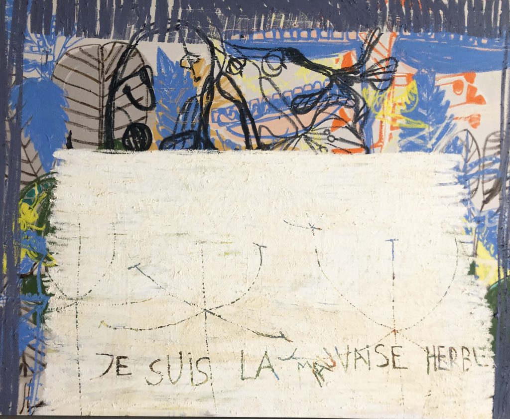 Erva daninha - semente inquieta 